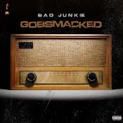 Bad Junkie